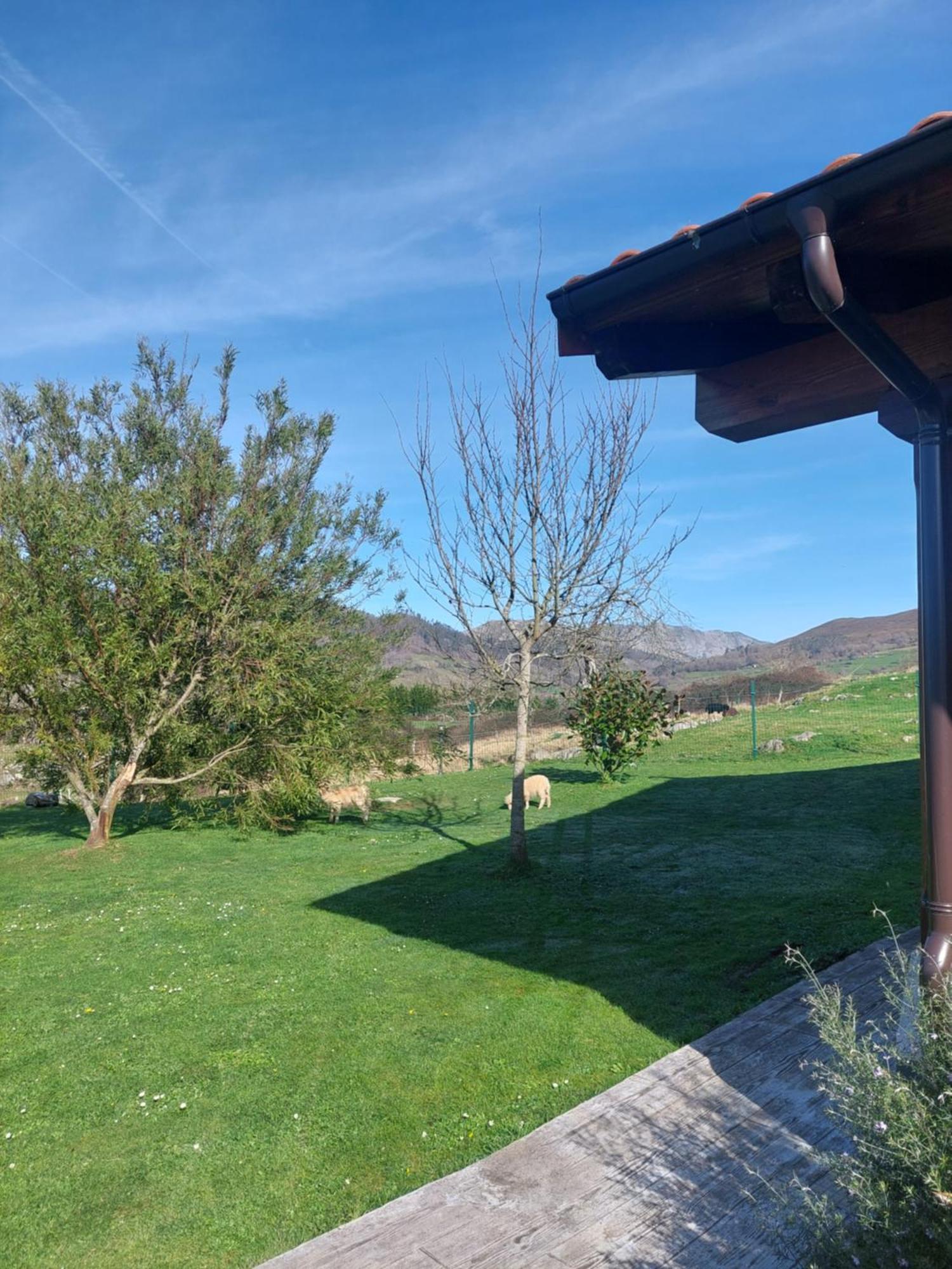 Fuente El Gueeyu Lägenhet Onís Exteriör bild